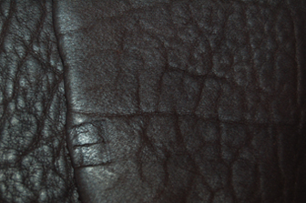 Buffalo Hide